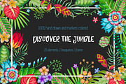 Discover the tropical jungle, a Decorative Illustration by Designifty (Thumbnail 1 of 3)