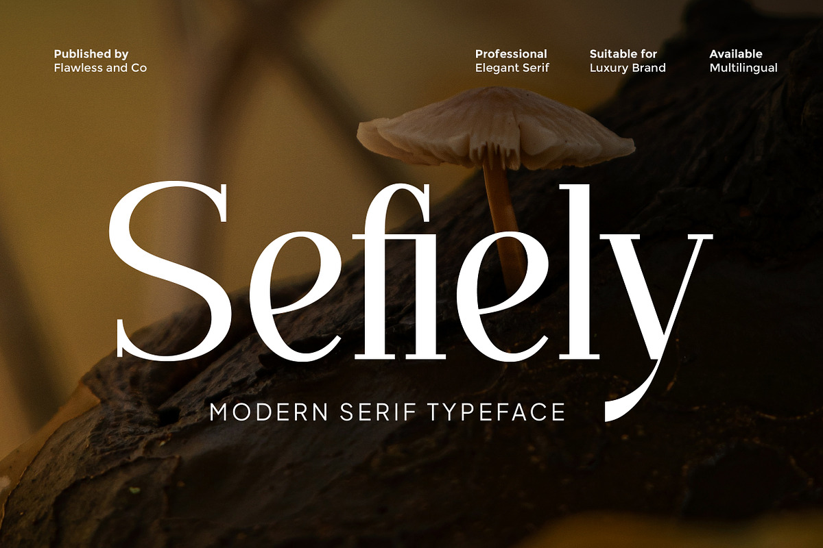 Sefiely - Modern Serif Font, a Serif Font by Flawless And Co (Photo 1 of 10)