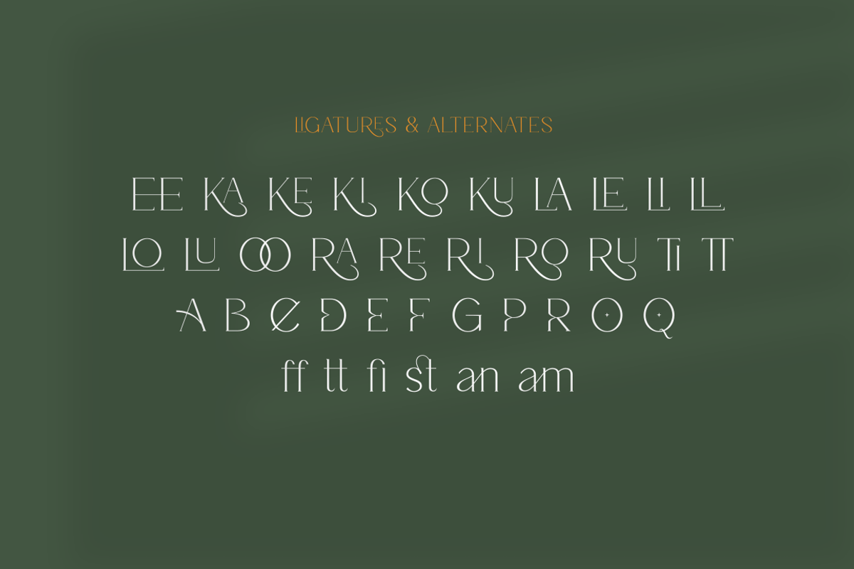 Garelina | Modern Serif Font, a Serif Font by Rissyletter Studio (Photo 10 of 11)