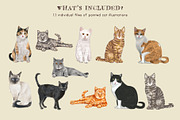 Hand-painted Cats Clip-Art, an Animal Illustration by Cynthia Arre (Thumbnail 5 of 6)