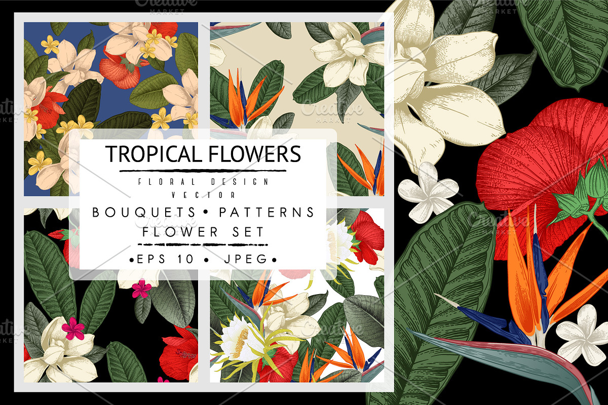 Tropical flowers. VECTOR, a Pattern Graphic by ollalya (Photo 1 of 8)