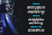 Handbird Script Font, a Script Font by alit design (Thumbnail 3 of 15)