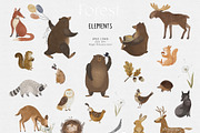 Forest animals. Alphabet & Patterns, an Animal Illustration by annartdreams (Thumbnail 10 of 11)