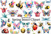 Spring Insect Clipart, an Illustration by Designworld (Thumbnail 1 of 5)