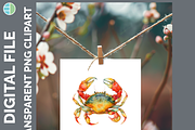 Marine Invertebrate Clipart, 25 PNG, an Animal Illustration by Enliven Designs (Thumbnail 8 of 8)