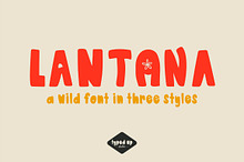 Lantana | Bubble Floral Display Font