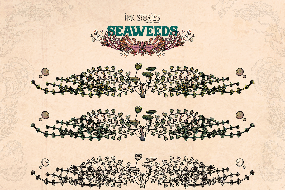 Seaweeds, an Object Illustration by Ink Stories (Photo 16 of 24)