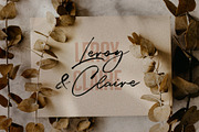 Dreaming Of Spring Stylish Font Duo, a Sans Serif Font by SilverStag Type Foundry (Thumbnail 9 of 23)