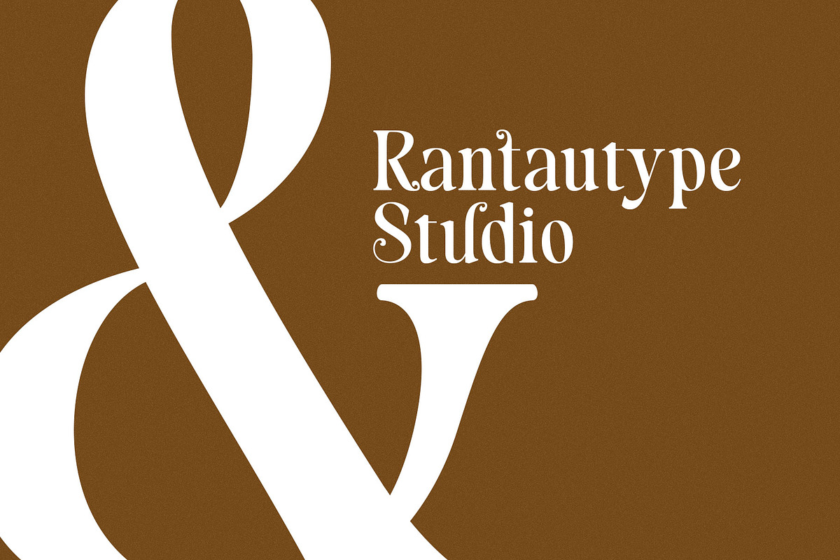 Blenisa Modern Beautiful Font, a Serif Font by RantautypeStudio (Photo 11 of 17)