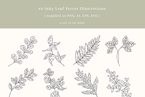 Inky Greenery Vector Illustrations