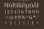 Pear Haresh - Modern Ligature Serif, a Serif Font by RagamKata (Thumbnail 10 of 10)