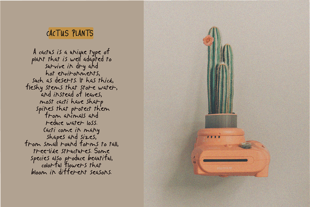 Daisytale - Playful Handwritten Font, a Handwritten Font by imdeyaa (Photo 5 of 11)