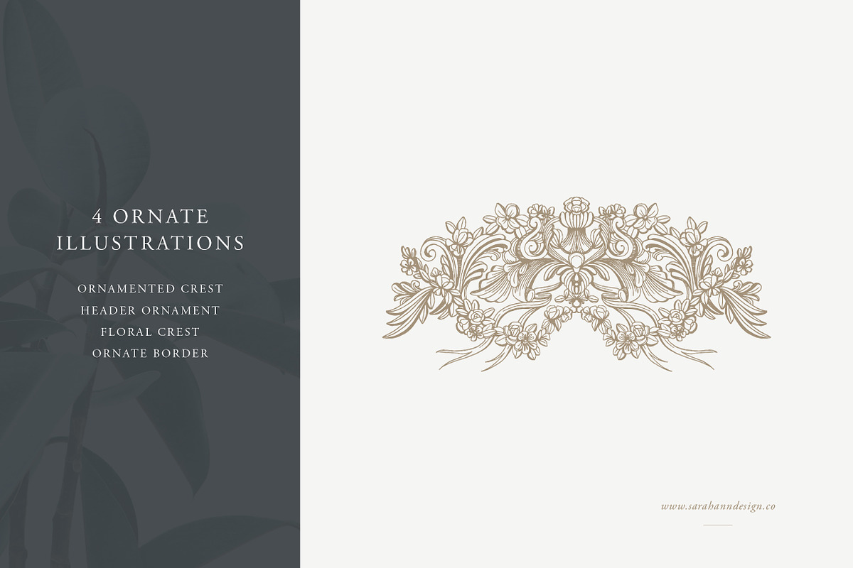 Ornate Designs: Illustration Pack, an Illustration by Sarah Ann Design (Photo 3 of 7)