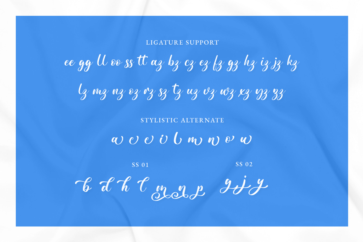 Rougilio - Brush Font, a Handwritten Font by RockboyStd (Photo 11 of 12)
