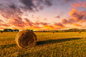 Bale of hay in field under dramatic sunset sky. Golden hour in f, a Nature Photo by Eugene_Photo