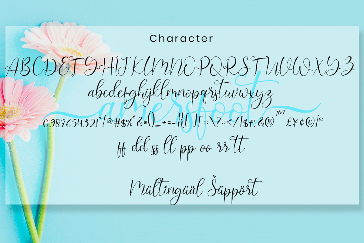 Amersfoot Script Calligraphy, a Script Font by MC Creative (Photo 7 of 8)