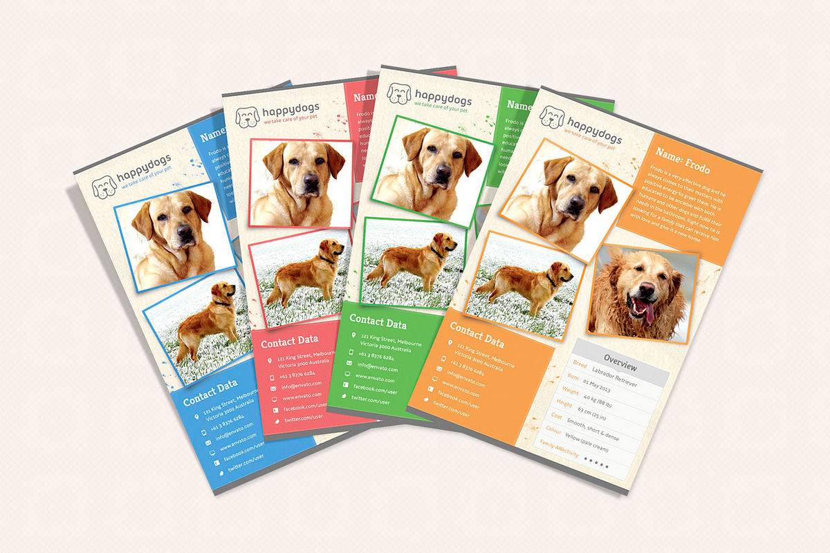 Pet Flyer Gallery, a Flyer Template by Sargatal (Photo 1 of 4)