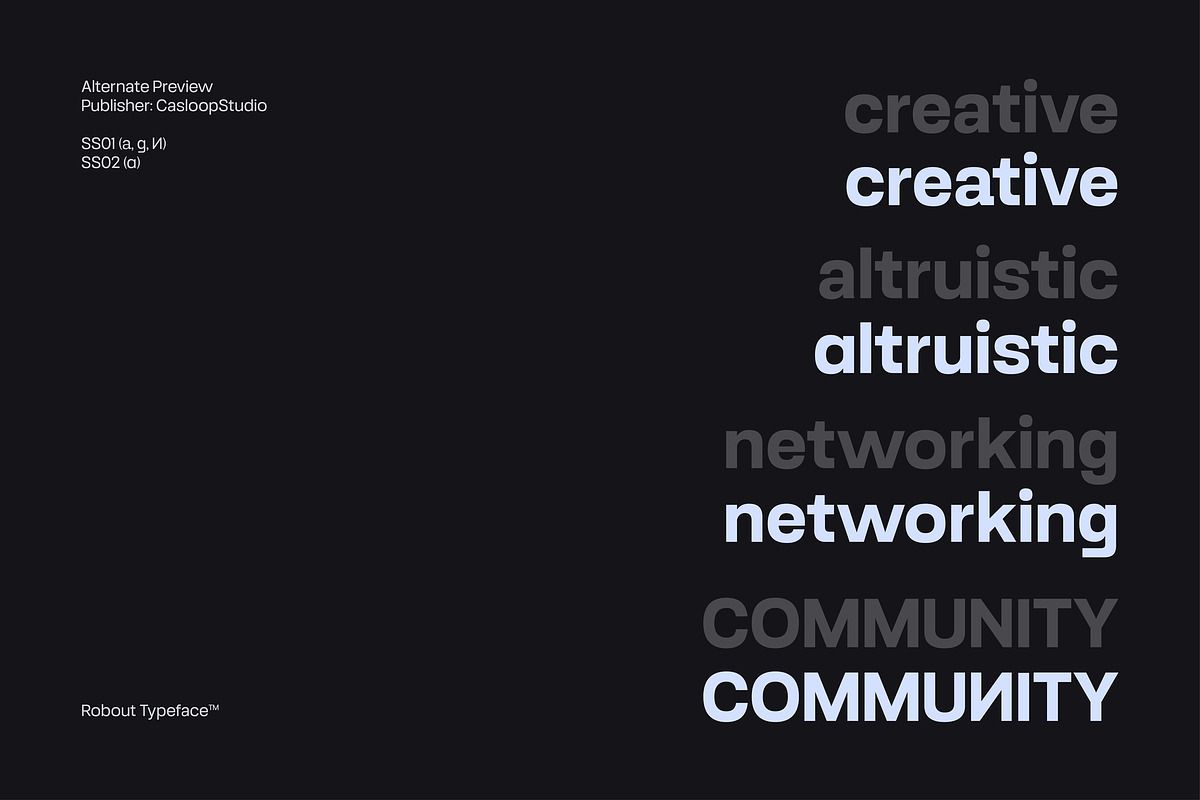 Robout - Rigit Sans 9 Fonts, a Sans Serif Font by Casloop Studio (Photo 4 of 9)