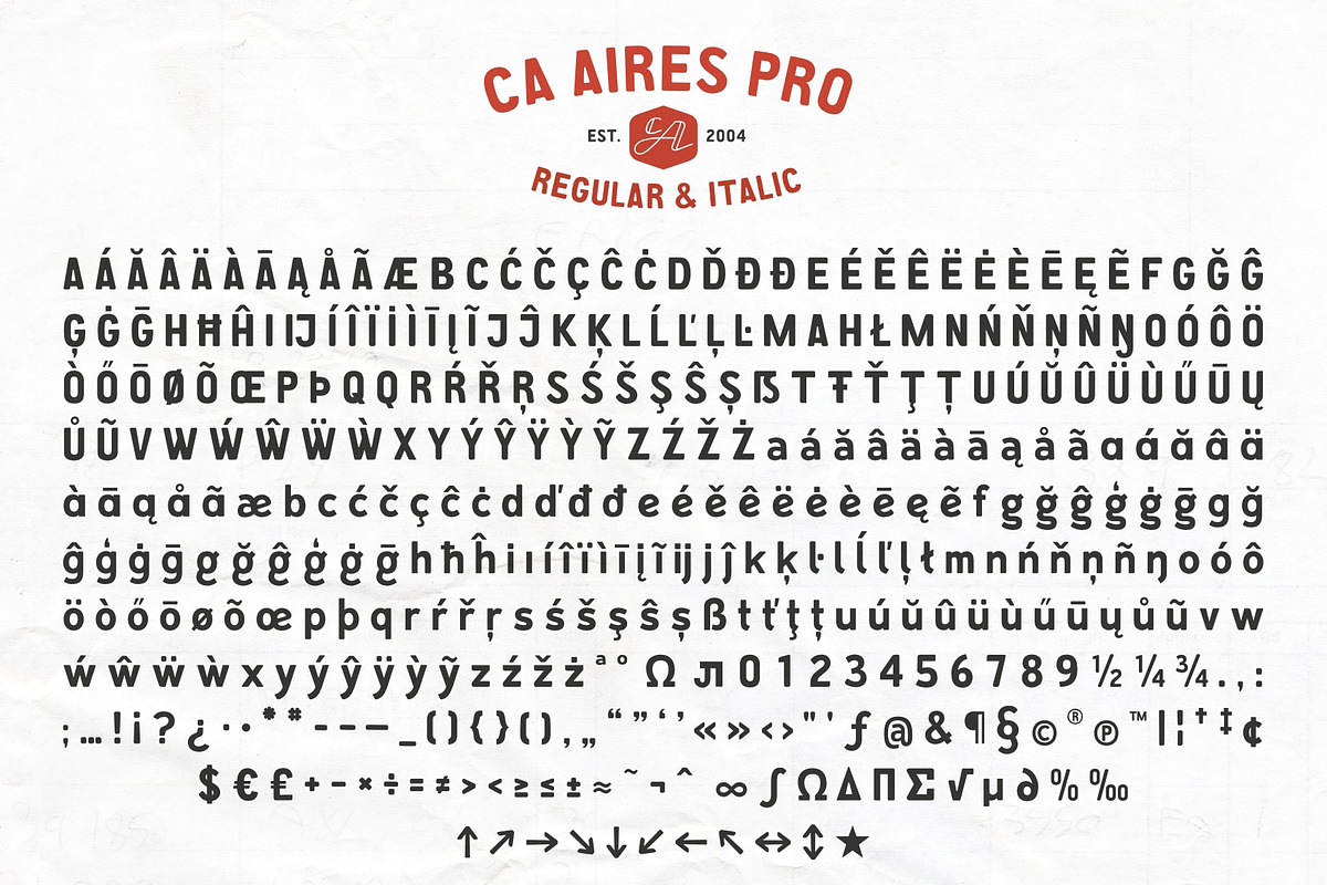 CA Aires Pro, a Sans Serif Font by Cape Arcona Type Foundry (Photo 6 of 7)