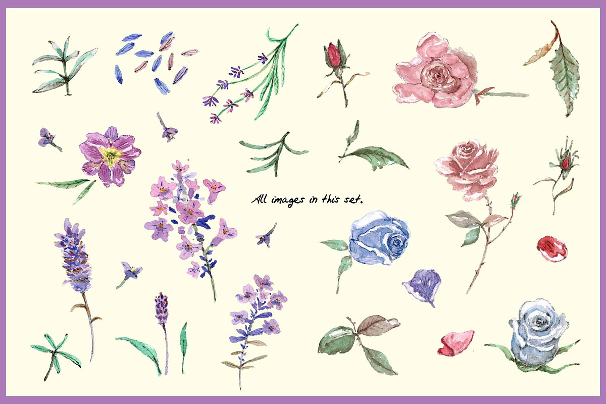 Lavender & Rose Clipart Set, a Seasonal Illustration by VianneArt (Photo 2 of 4)
