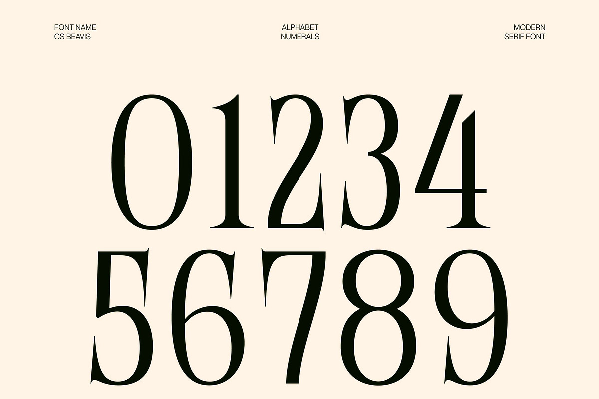 CS Beavis – Modern Serif Font, a Serif Font by Craft Supply Co. (Photo 5 of 8)