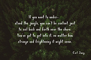 Jungle Display Font, a Script Font by Nadezda (Thumbnail 4 of 8)