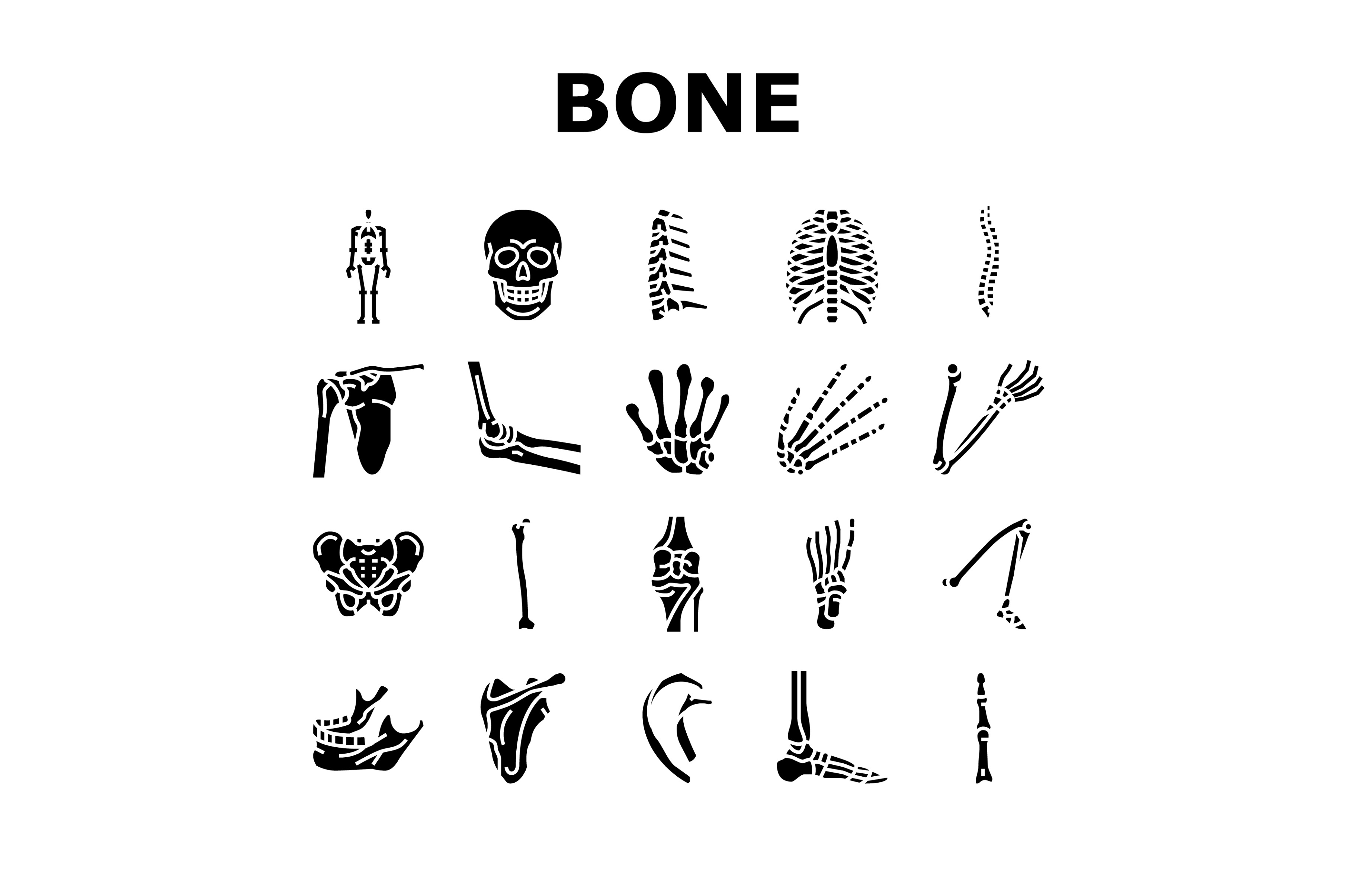 Bone Human Skeleton Structure Icons | Industrial Stock Photos ...