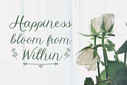 Abilane - Elegant Calligraphic Font, a Script Font by Typefactoryco (Thumbnail 6 of 10)