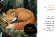Sleeping Fox In Forest Illustration, an Animal Illustration by The Dutch Lady Designs (Thumbnail 4 of 4)