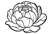 50 Floral Nature Vector Illustration, an Illustration by Gaye Art (Thumbnail 40 of 51)