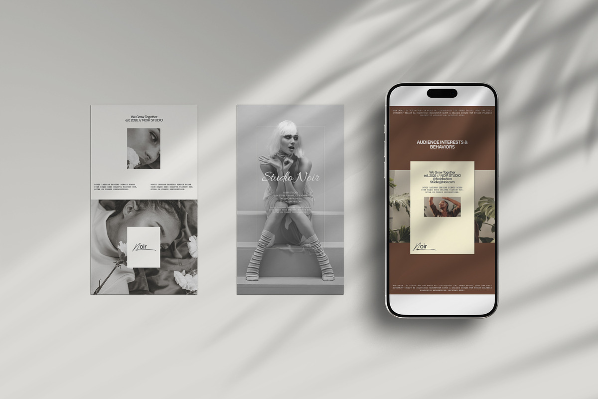 NOIR | Stories Template preview 5