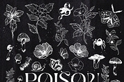 Poison. Watercolor and line art., an Object Illustration by ma_i_vi (Thumbnail 5 of 12)