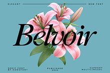 Belvoir – Elegant Serif Font