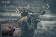 Matte Lightroom Presets Volume 1, a Preset Add-On by ShutterSweets (Thumbnail 4 of 5)