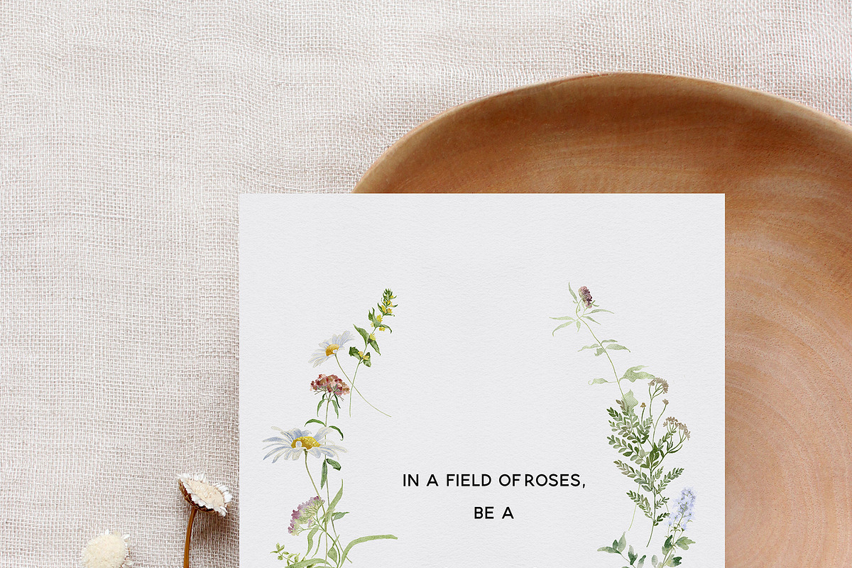 l'Herbolario - Wild Floral Graphics, an Illustration by studioequinox (Photo 14 of 14)