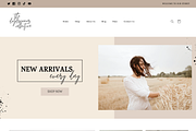 Shopify Template | Daydreamer Co, a Templates & Theme by Easy Website Themes (Thumbnail 1 of 9)