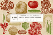 Vintage Fruit Vegetables & Flowers, an Object Graphic by Eclectic Anthology (Thumbnail 1 of 11)