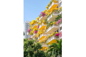Vibrant Floral Balconies on Urban, an Architecture Photo by Lermont51