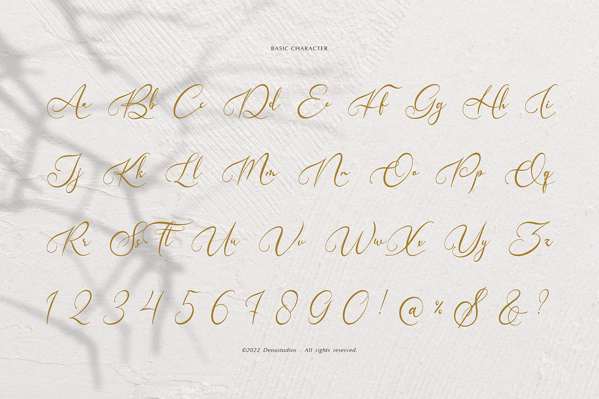 Velocity Romantica Calligraphy Font, a Script Font by Denustudios (Photo 10 of 12)