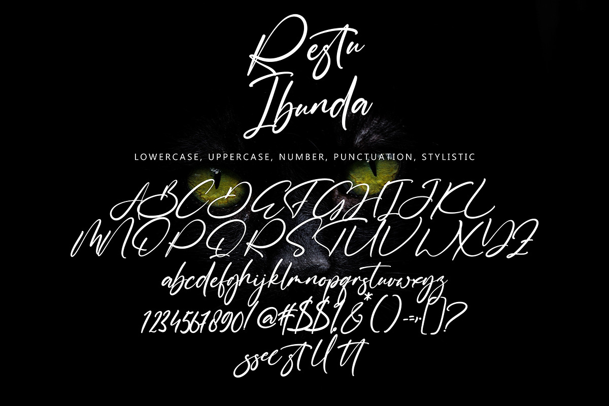 Restu Ibunda, a Script Font by pineungtype (Photo 8 of 8)