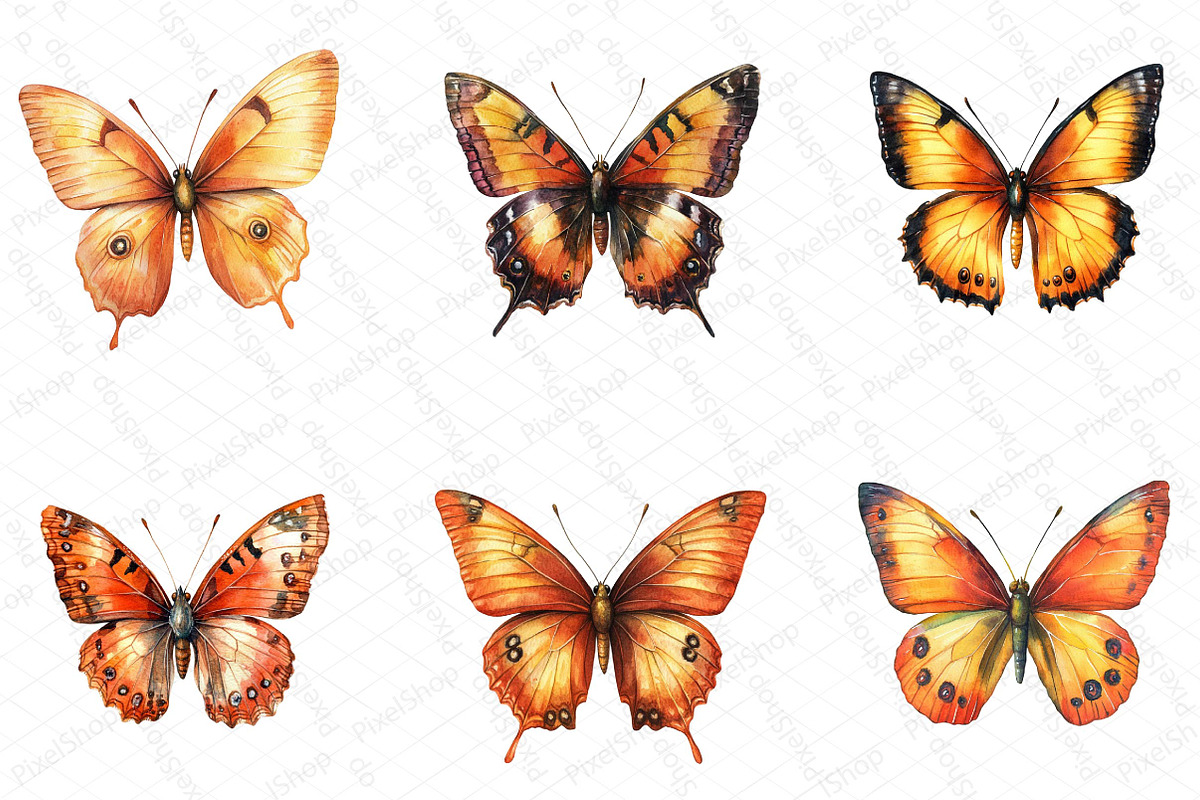Watercolor Fall Butterfly Clipart, an Illustration by DreamPrint404 (Photo 2 of 5)