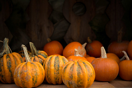 Halloween pumpkin stock photo preview 6