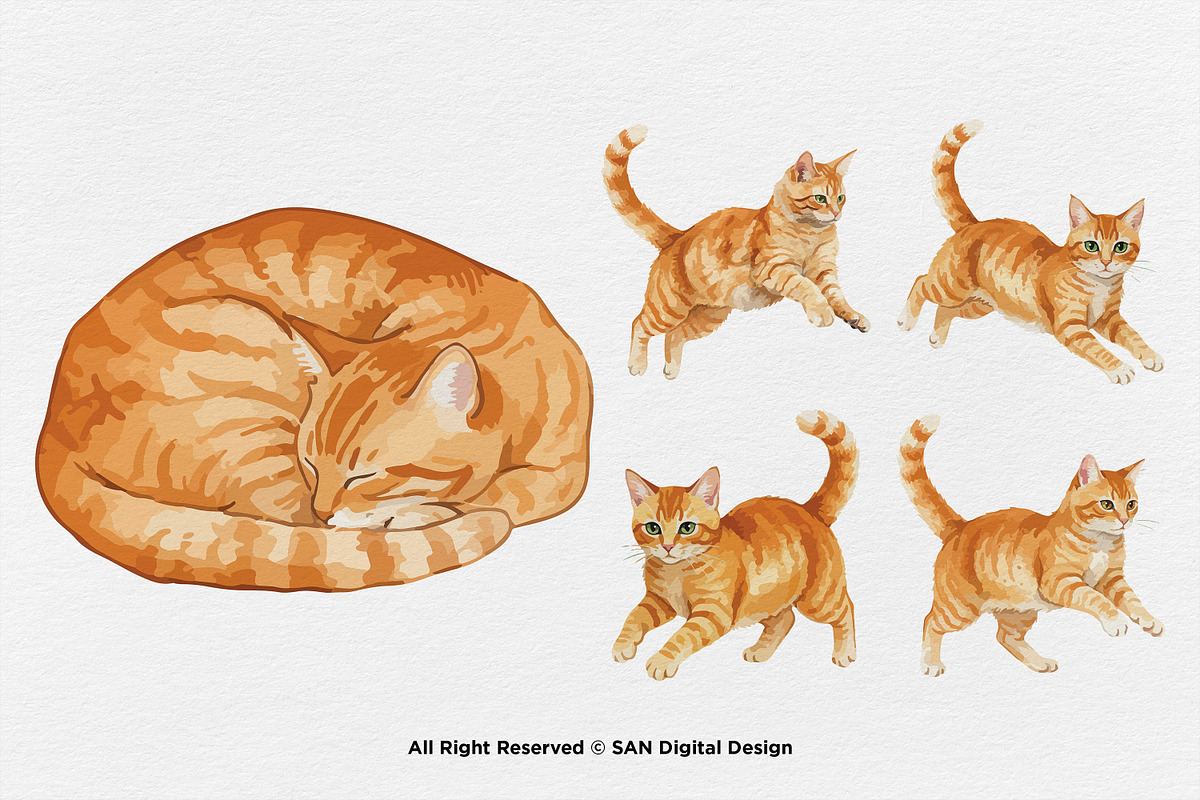 15 Bundle Watercolor Orange Cats Pet, an Animal Illustration by Morspective (Photo 6 of 8)