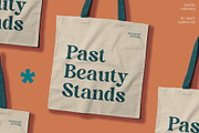 Castio – Bold Font, a Serif Font by Craft Supply Co. (Thumbnail 3 of 8)