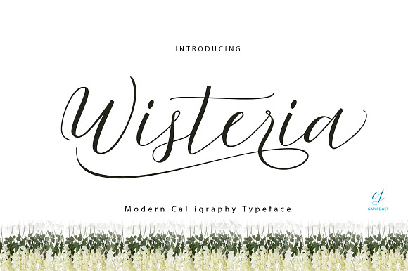 Wisteria Script preview 8