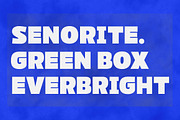 Paquero Sans Family, a Sans Serif Font by Propertype (Thumbnail 3 of 11)