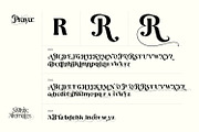 Praya - Modern Branding Font, a Serif Font by creativemedialab (Thumbnail 14 of 17)