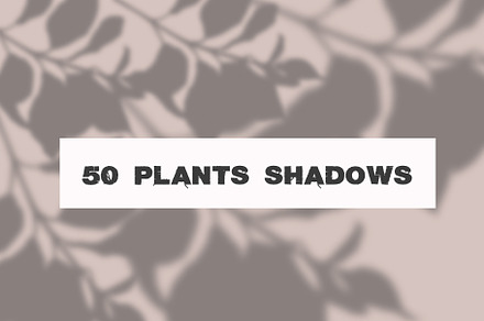 50 plants shadows