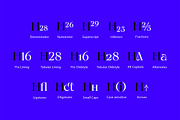 Calgera, a Serif Font by TRF Fonts (Thumbnail 9 of 16)