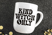 Wild Bone - All Caps Spooky Font, a Serif Font by Airotype (Thumbnail 4 of 8)
